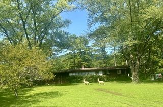 7324 Hwy 294, Murphy, NC 28906
