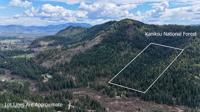 1546 Pup Paw TRL, Priest River, ID 83856