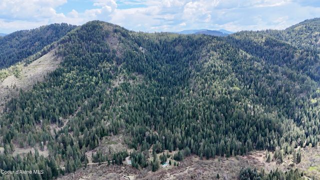 1546 Pup Paw TRL, Priest River, ID 83856