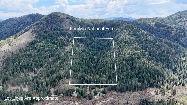 1546 Pup Paw TRL, Priest River, ID 83856