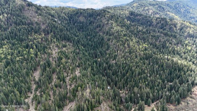 1546 Pup Paw TRL, Priest River, ID 83856