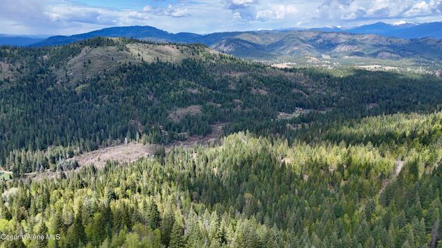 1546 Pup Paw TRL, Priest River, ID 83856
