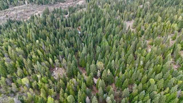 1546 Pup Paw TRL, Priest River, ID 83856