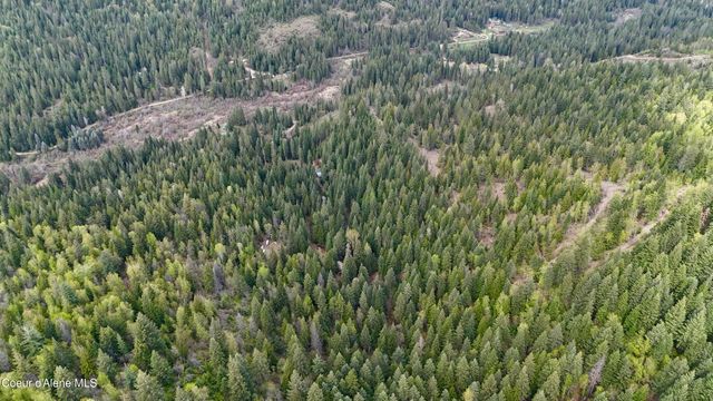 1546 Pup Paw TRL, Priest River, ID 83856