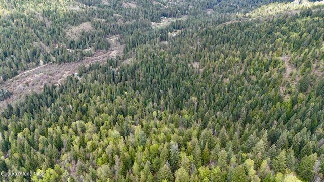 1546 Pup Paw TRL, Priest River, ID 83856