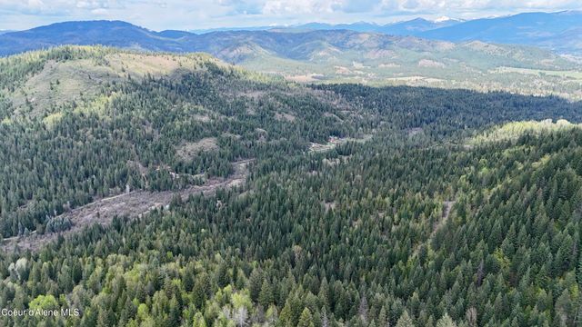 1546 Pup Paw TRL, Priest River, ID 83856