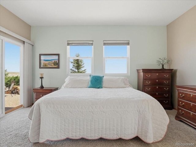 13424 Alex Place, Carr, CO 80612