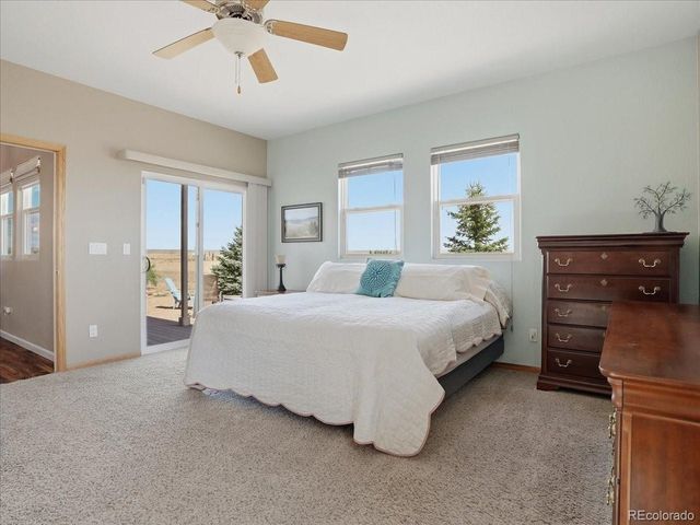 13424 Alex Place, Carr, CO 80612