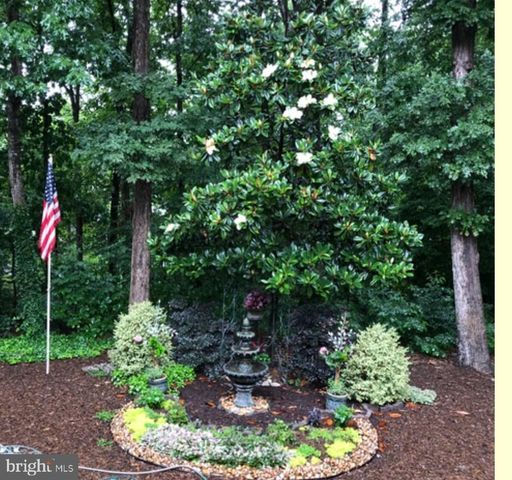 4203 MOUNT VERNON PL, Fredericksburg, VA 22408