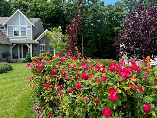 12951 Wildview Drive, Grand Haven, MI 49417