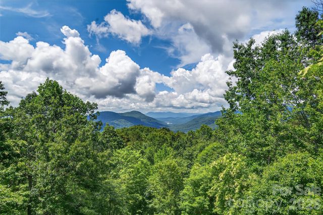 35 Elderberry Drive, Old Fort, NC 28762