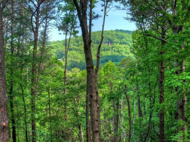 328 Crabapple Drive, Blue Ridge, GA 30513