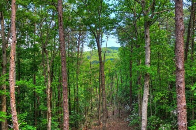 328 Crabapple Drive, Blue Ridge, GA 30513