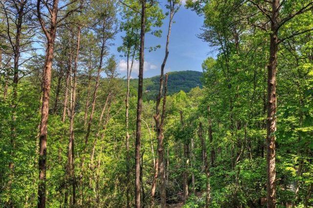 328 Crabapple Drive, Blue Ridge, GA 30513