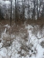 12840 LARKINS Road, Brighton Township, MI 48114
