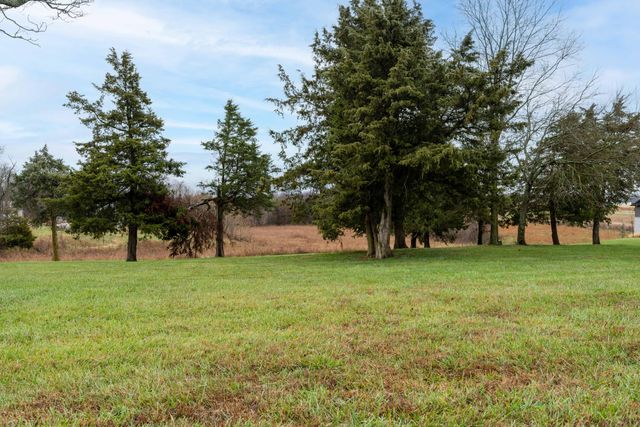 532 Fox Creek Road, Rogersville, MO 65742