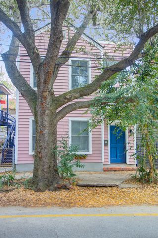 250 Coming Street, Charleston, SC 29403