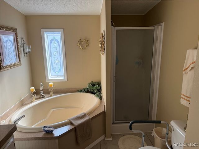 6820 W Mable Lane, Dunnellon, FL 34433