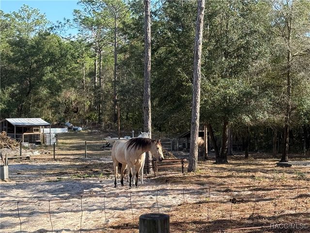 6820 W Mable Lane, Dunnellon, FL 34433