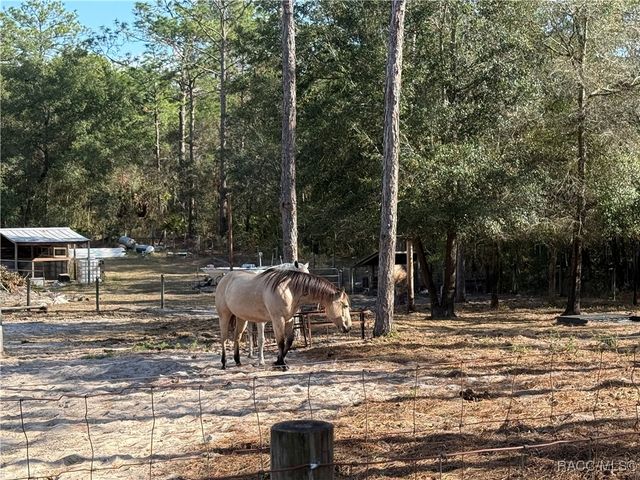 6820 W Mable Lane, Dunnellon, FL 34433