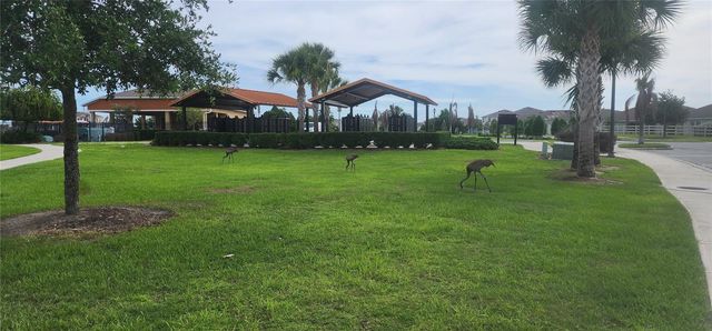 995 BROOKLET DR, Davenport, FL 33837