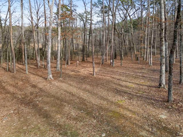 44 Stillwater Lane, Drasco, AR 72530