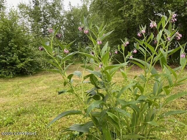 4060 N Bull Moose Drive, Wasilla, AK 99654