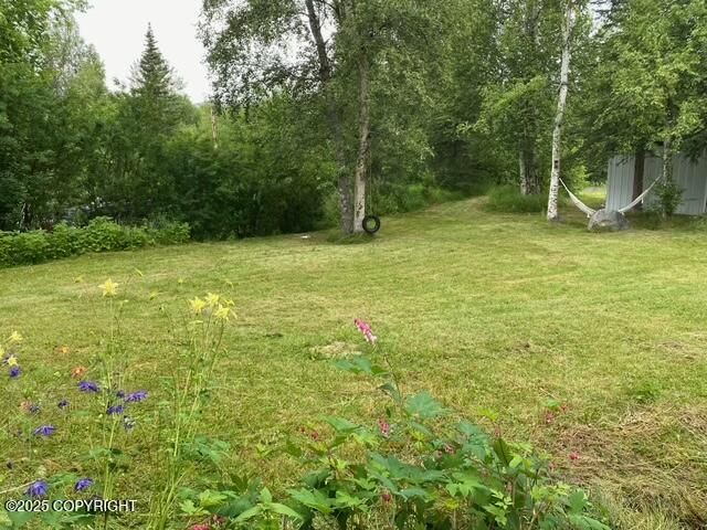 4060 N Bull Moose Drive, Wasilla, AK 99654