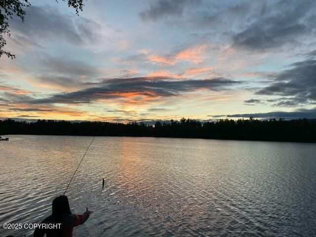 4060 N Bull Moose Drive, Wasilla, AK 99654