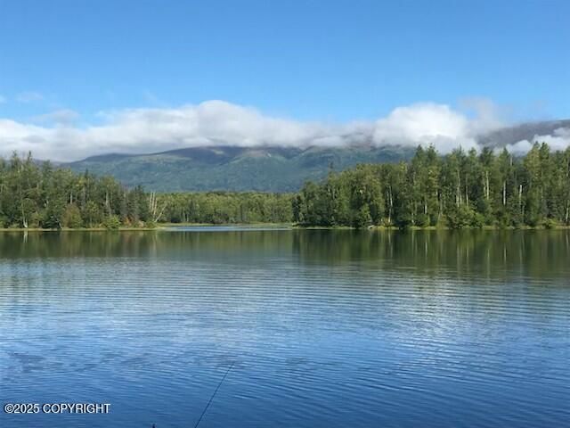 4060 N Bull Moose Drive, Wasilla, AK 99654