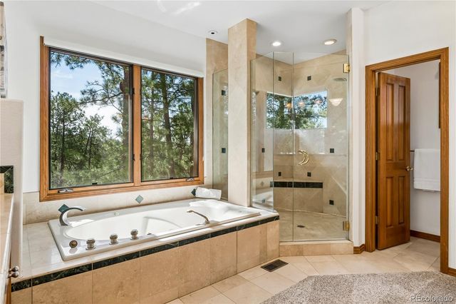 234 Lead King Drive, Castle Rock, CO 80108