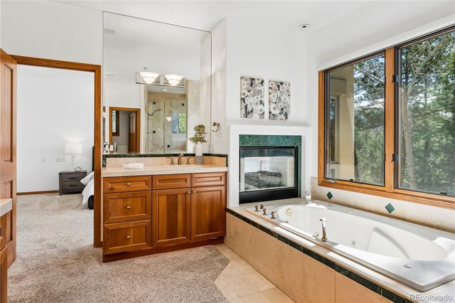 234 Lead King Drive, Castle Rock, CO 80108