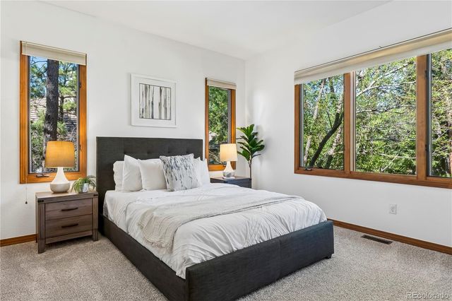 234 Lead King Drive, Castle Rock, CO 80108