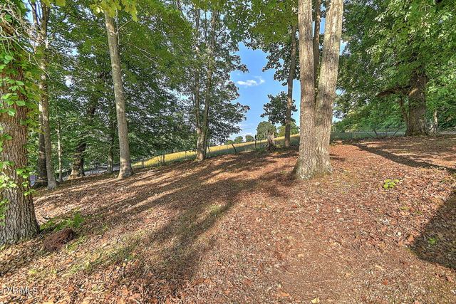 55 Short Road, Limestone, TN 37681