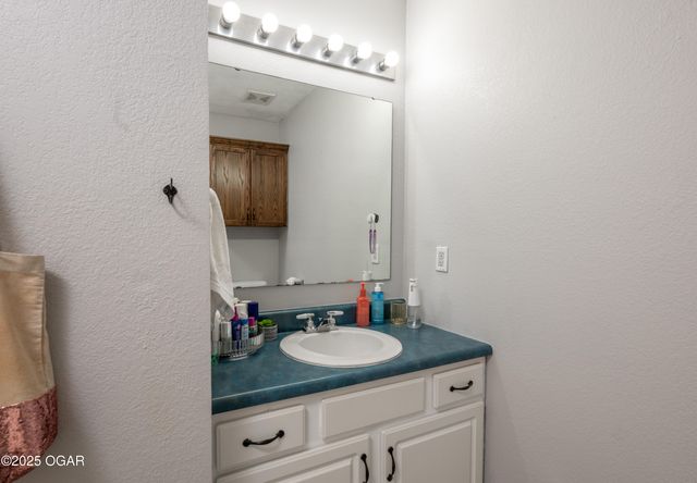 117 Blue Springs Lane, Reed Springs, MO 65737