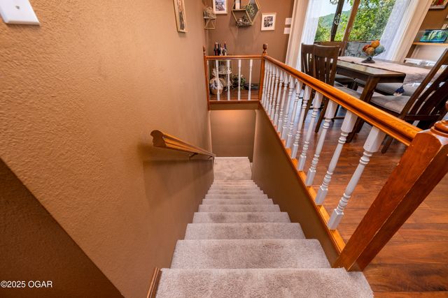 117 Blue Springs Lane, Reed Springs, MO 65737