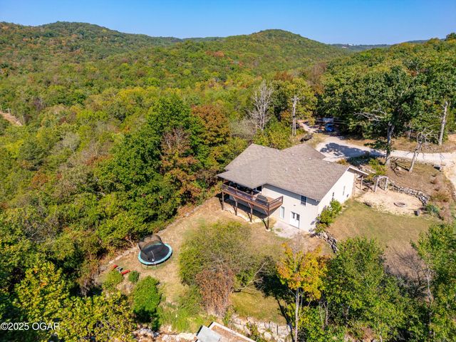 117 Blue Springs Lane, Reed Springs, MO 65737