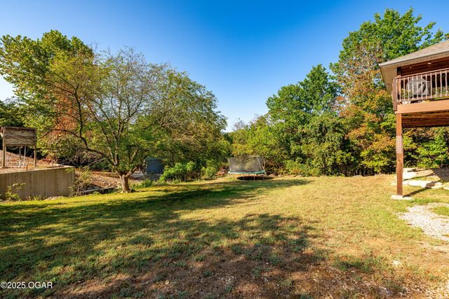 117 Blue Springs Lane, Reed Springs, MO 65737