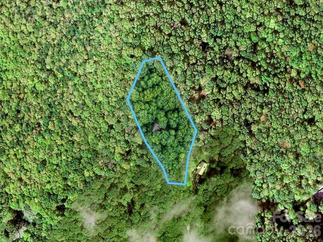 72 Wildflower Mountain Trail, Candler, NC 28715