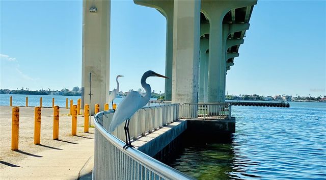 113 12TH STREET, Belleair Beach, FL 33786