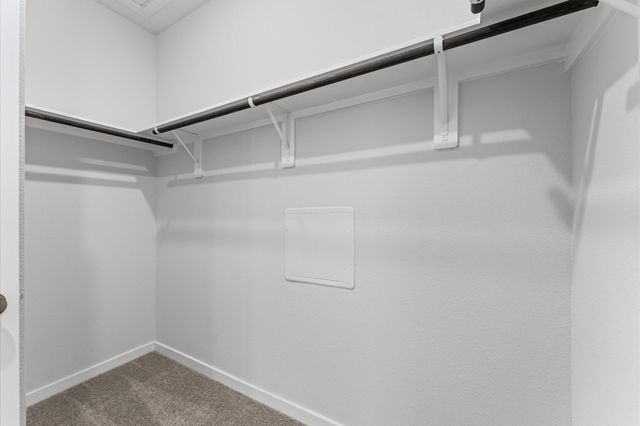 259 Brazen Forest Trail, Montgomery, TX 77354