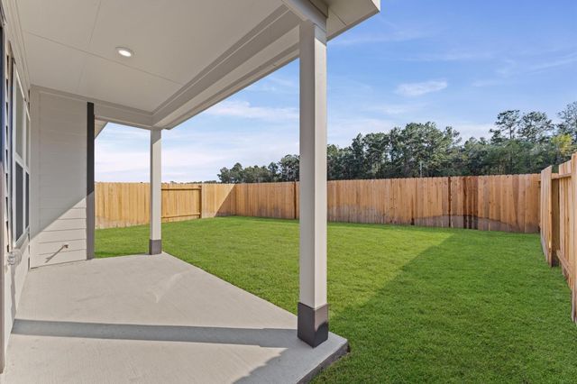 259 Brazen Forest Trail, Montgomery, TX 77354