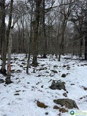 Cobblewood Road, Wayne, PA 18424