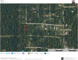 1017 Weeping Willow Drive, Plantersville, TX 77363