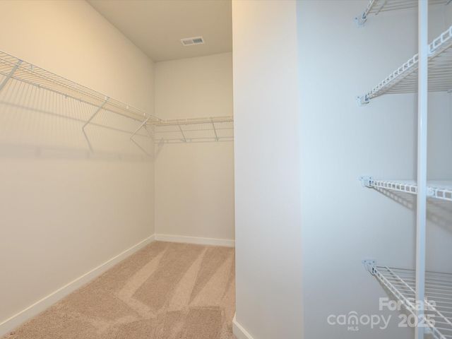 1104 Bismuth Lane, Charlotte, NC 28211