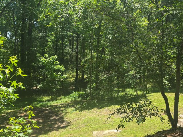 110 Hidden Circle, Coldspring, TX 77331