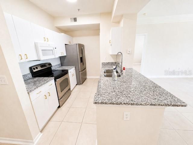 17102 CARRINGTON PARK DRIVE 302, Tampa, FL 33647
