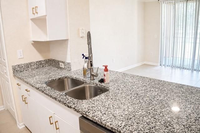 17102 CARRINGTON PARK DRIVE 302, Tampa, FL 33647