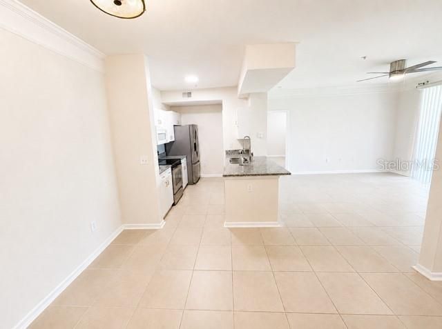 17102 CARRINGTON PARK DRIVE 302, Tampa, FL 33647