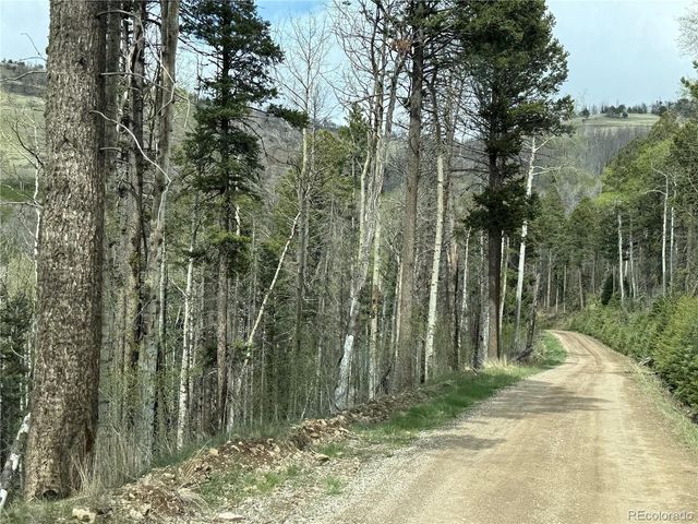 406-449 Schierl Road, Fort Garland, CO 81133